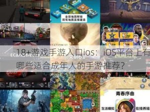 18+游戏手游入口ios：iOS平台上有哪些适合成年人的手游推荐？