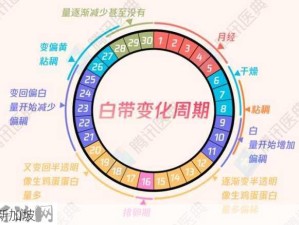 女性分泌物异常解析：白带变化与健康管理指南