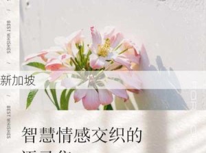 乱Lun合集3：情感交织的多元叙事集