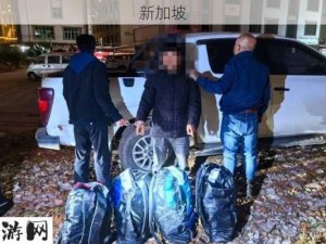 重案实录水箱藏尸(国粤语无字)：水箱藏尸案真相：案件细节与侦破过程全解析