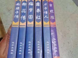 痴婆子传小说原著全书译文阅读：《痴婆子传》原著全文哪里可以阅读并获取译文？