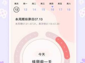 芭乐APP站长统计如何助力网站数据分析优化？