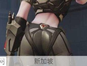 守望先锋黑百合黄金武器外观大揭秘：独特魅力与细节展现