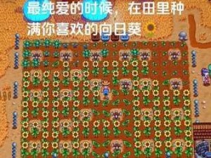 星露谷物语探寻海莉位置 实现高效管理与价值最大化