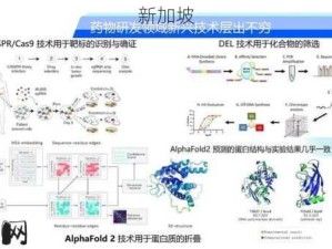 IMP生物化学：IMP生物化学：如何理解其在生命科学中的关键作用？