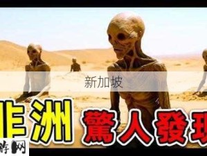 非洲人与ZOOM人的区别：非洲人与ZOOM人在沟通方式上有哪些不同？