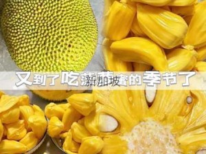 菠萝蜜怎么剥？：轻松掌握菠萝蜜剥皮技巧