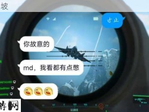 寸止红绿灯倒计时挑战小x大王：如何应对寸止红绿灯倒计时挑战？小x大王的经验分享