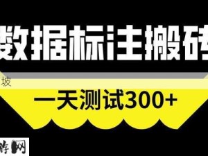 打码录入赚钱平台：数据标注兼职平台