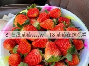 18  在线草莓www：18 草莓在线观看