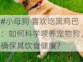 #小母狗 喜欢吃黑鸡巴：如何科学喂养宠物狗，确保其饮食健康？