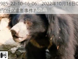 143985_22-10-16-06：2022年10月16日06时发生了什么重要事件？