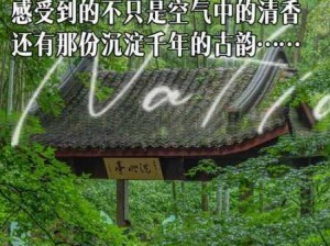 如何练就盖世神功？卧虎藏龙武学指南全攻略