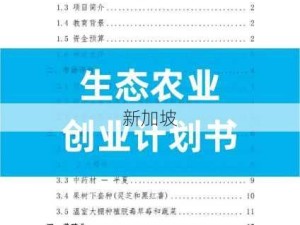 implement：如何有效实施项目计划并确保成功落地？