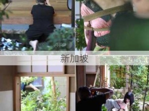 美女捆绑直播：直播中如何安全地进行捆绑艺术展示？