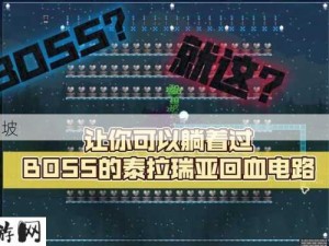 泰拉瑞亚游戏中回血装置的高效制作管理与实战应用策略