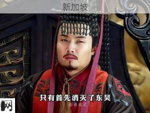 少年三国志2中文帝曹丕的角色解析，资源管理核心策略