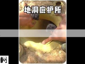 泳池秘闻2：为何泳池成为人性隐秘的庇护所？