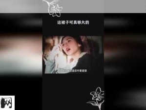 成全视频在线观看完整版第二集：如何在线观看成全视频第二集完整版？