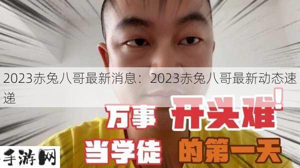 2023赤兔八哥最新消息：2023赤兔八哥最新动态速递