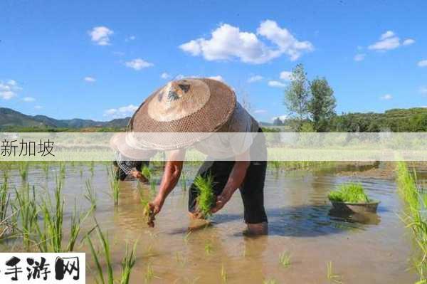 30种插秧法视频：30种水稻插秧技巧视频教程