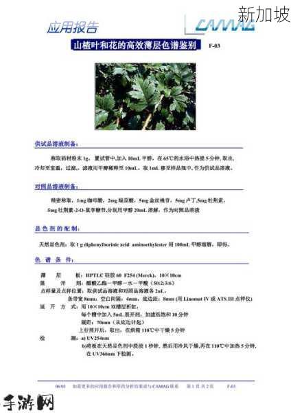 我的世界荆棘9999指令的深度解析与高效应用