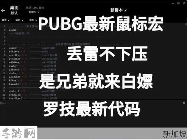 绝地求生怎么设置鼠标宏，资源管理、高效使用与避免浪费