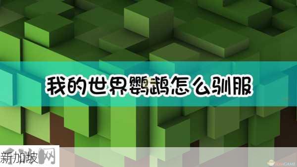 我的世界怎么驯服鹦鹉，资源管理、技巧、避免浪费与最大化价值