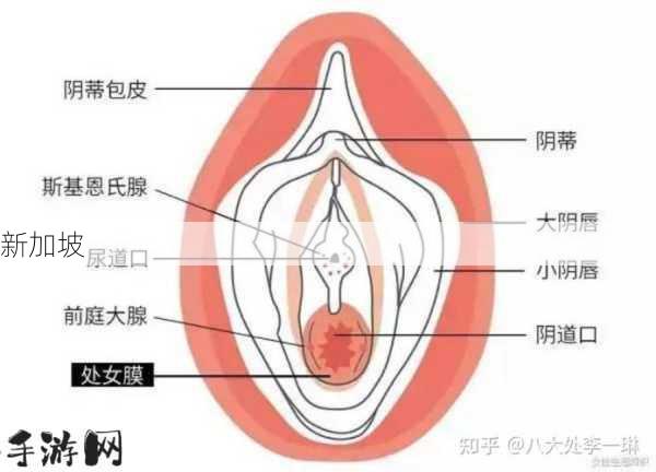 3岁女孩破膜整个过程：3岁女孩如何顺利完成破膜过程？家长需注意哪些细节？