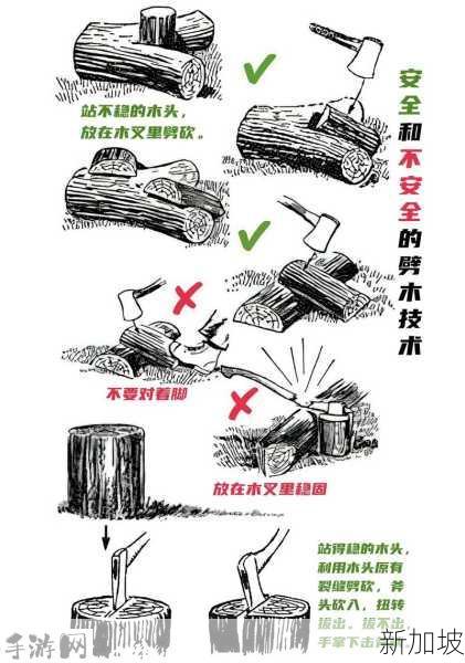 辐射避难所大门开启秘籍，解锁末日生存的关键