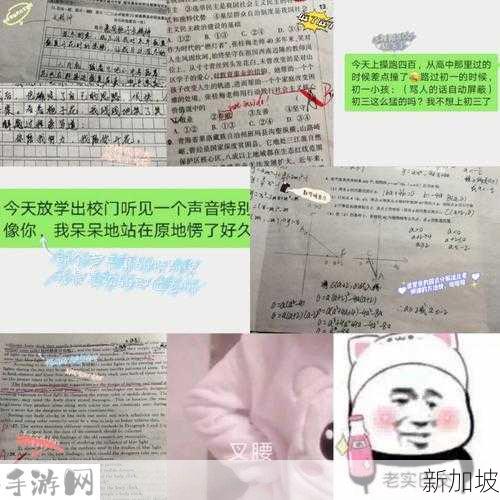 乐乐的jianying日记阅读中网：“如何通过乐乐的jianying日记提升阅读能力？”