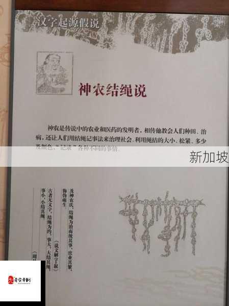 研究生独胆一注探秘：能否解锁汉字新写法？