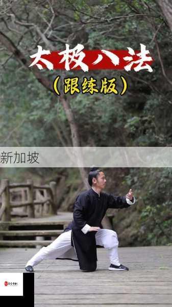 我的侠客怎么速刷30太极拳，全面攻略与资源管理优化