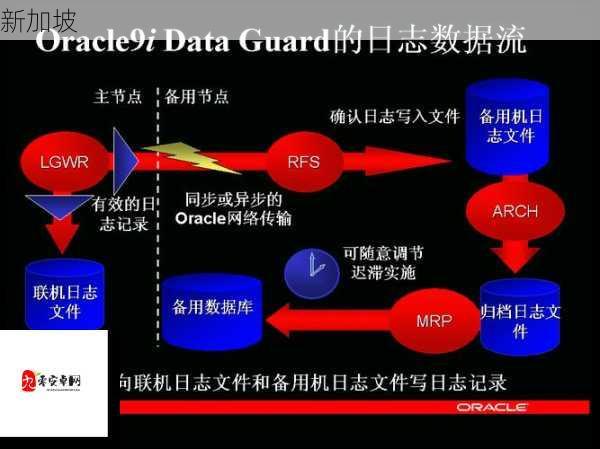 如何安全合法地获取9I破解版免费版的安装与使用权限？