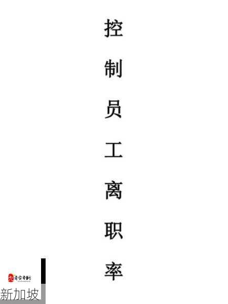 探索法国空乘职业：入职条件与必备技能全解析