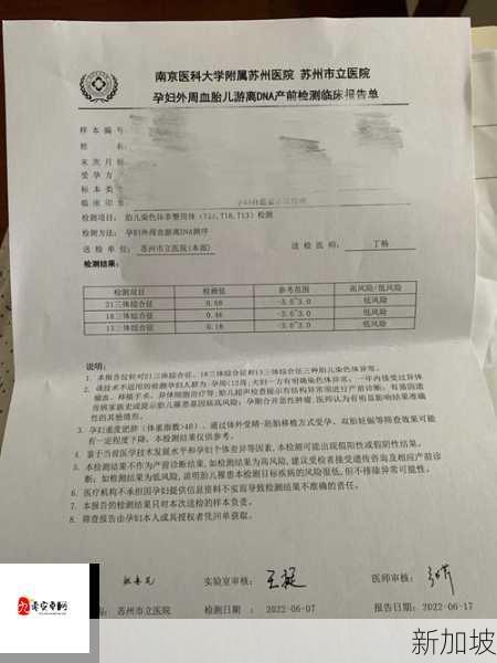 探究：母子DNA能否完全相同？